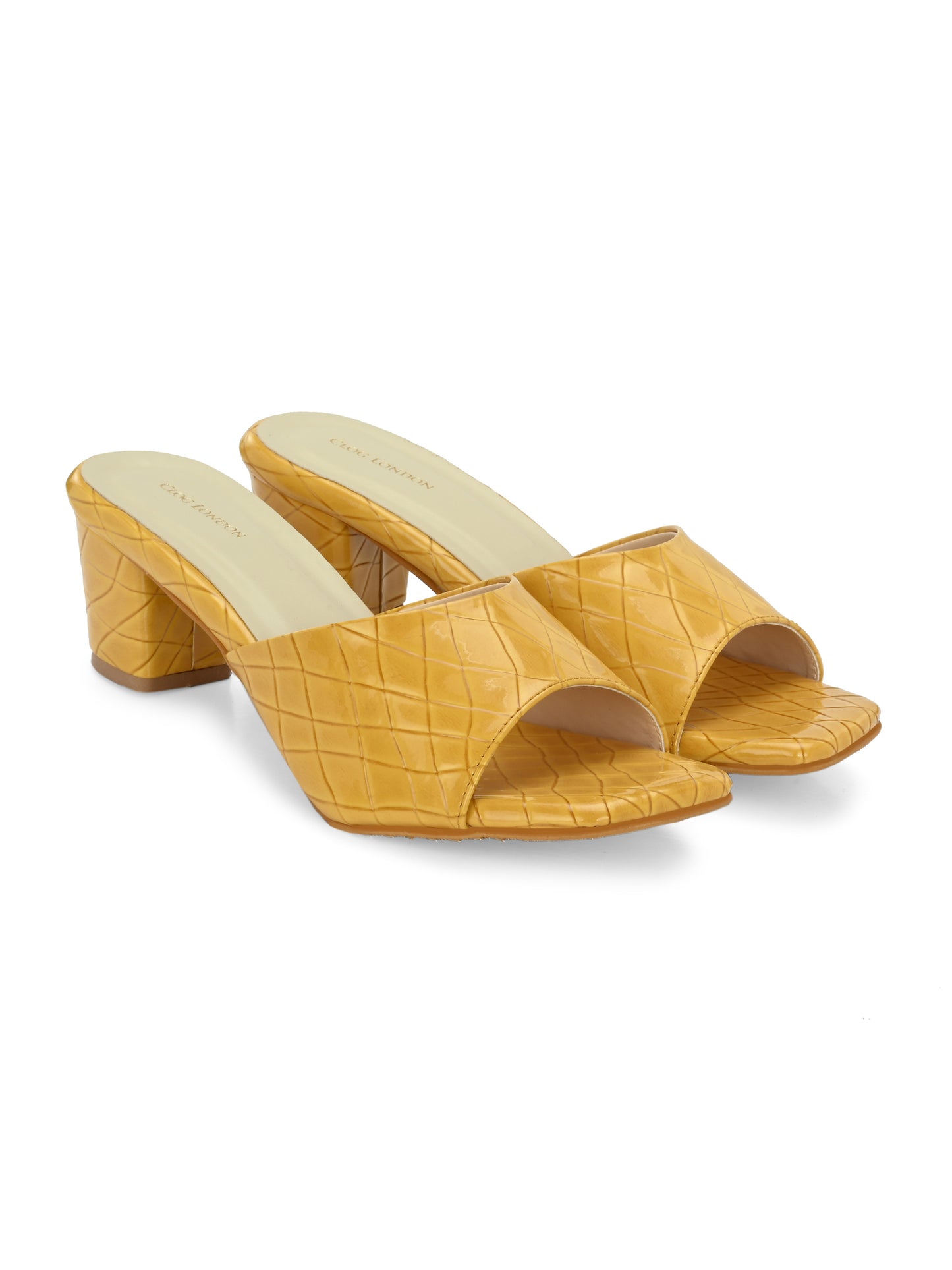 Women Brown Open Toe Block Heels Sandals