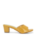 Women Brown Open Toe Block Heels Sandals