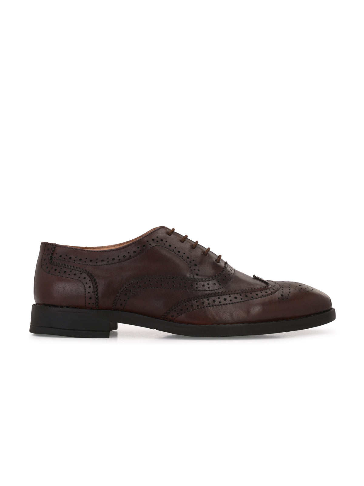 Arrow Men Formal Leather Brogues