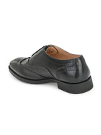 Arrow Men Formal Leather Brogues